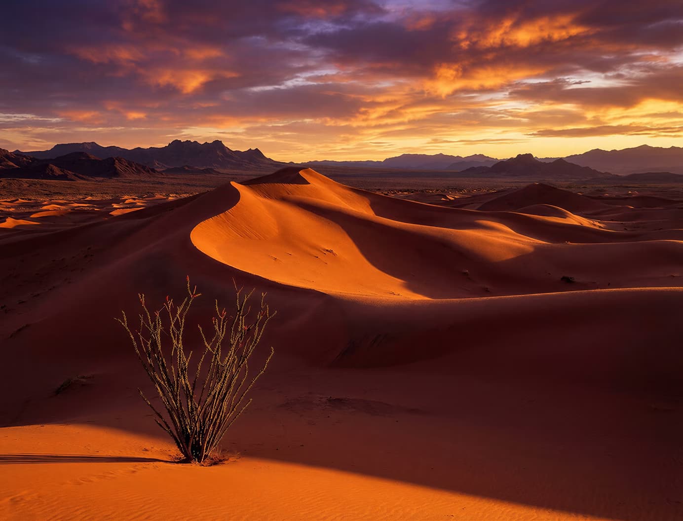 Enhance and upscale content