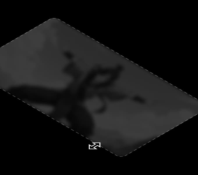 Resize 2