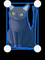 LayerCat