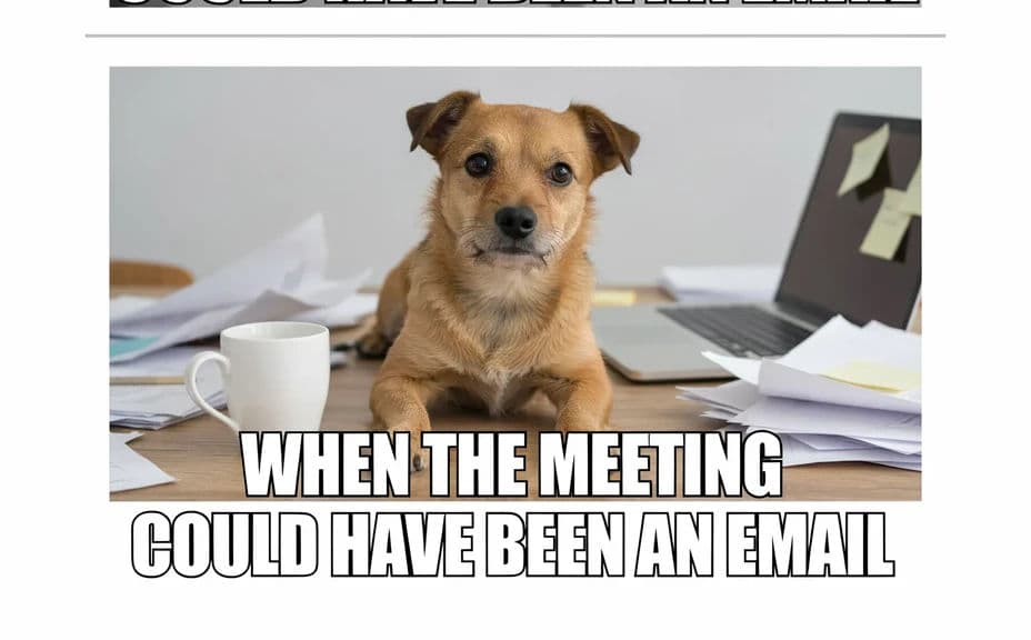 Alternate layout of the same meme image with the caption text placed differently