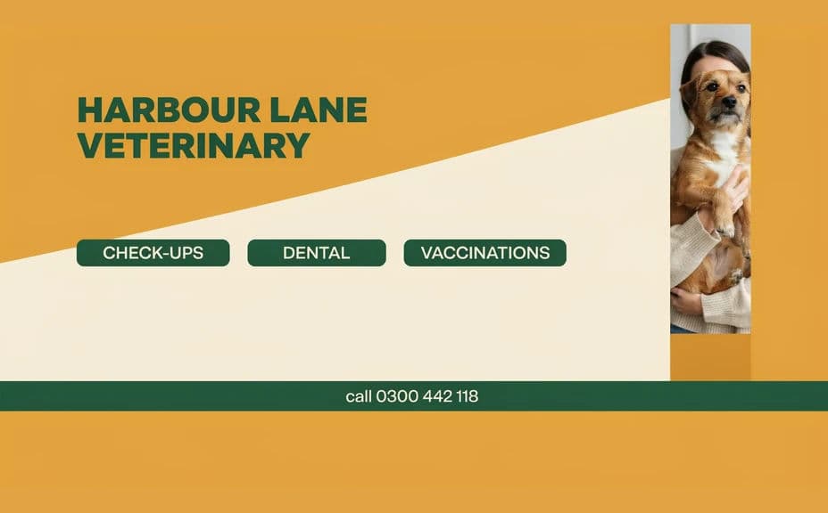 Alternate flyer design for the same practice with a side column of services