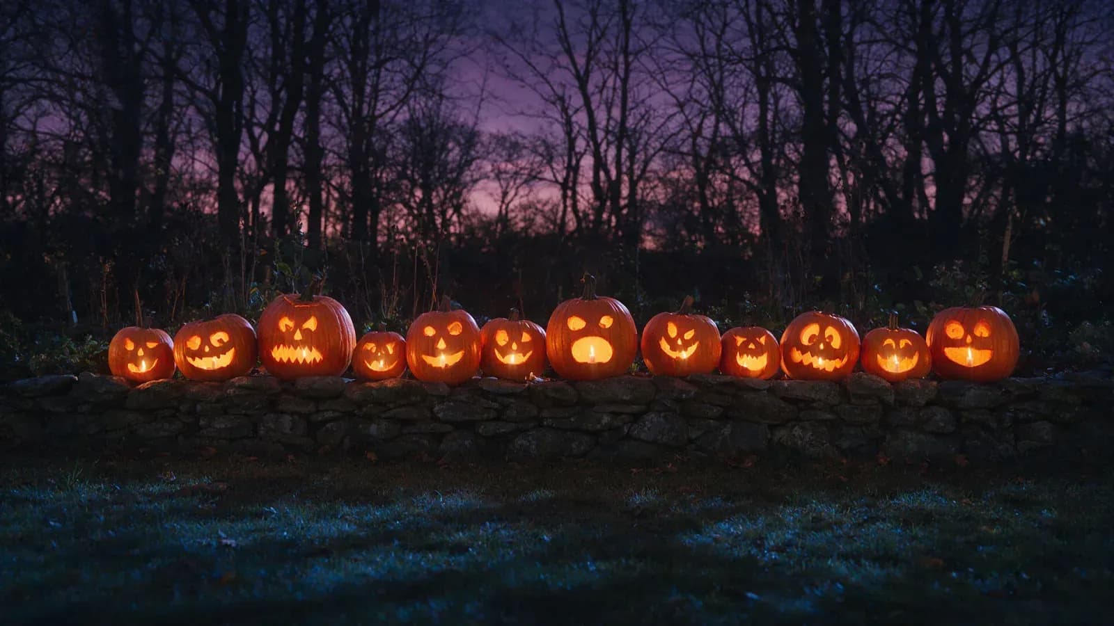 A row of glowing jack-o'-lanterns lined along a low stone garden wall at dusk, generated with Seedream 5.0 Pro