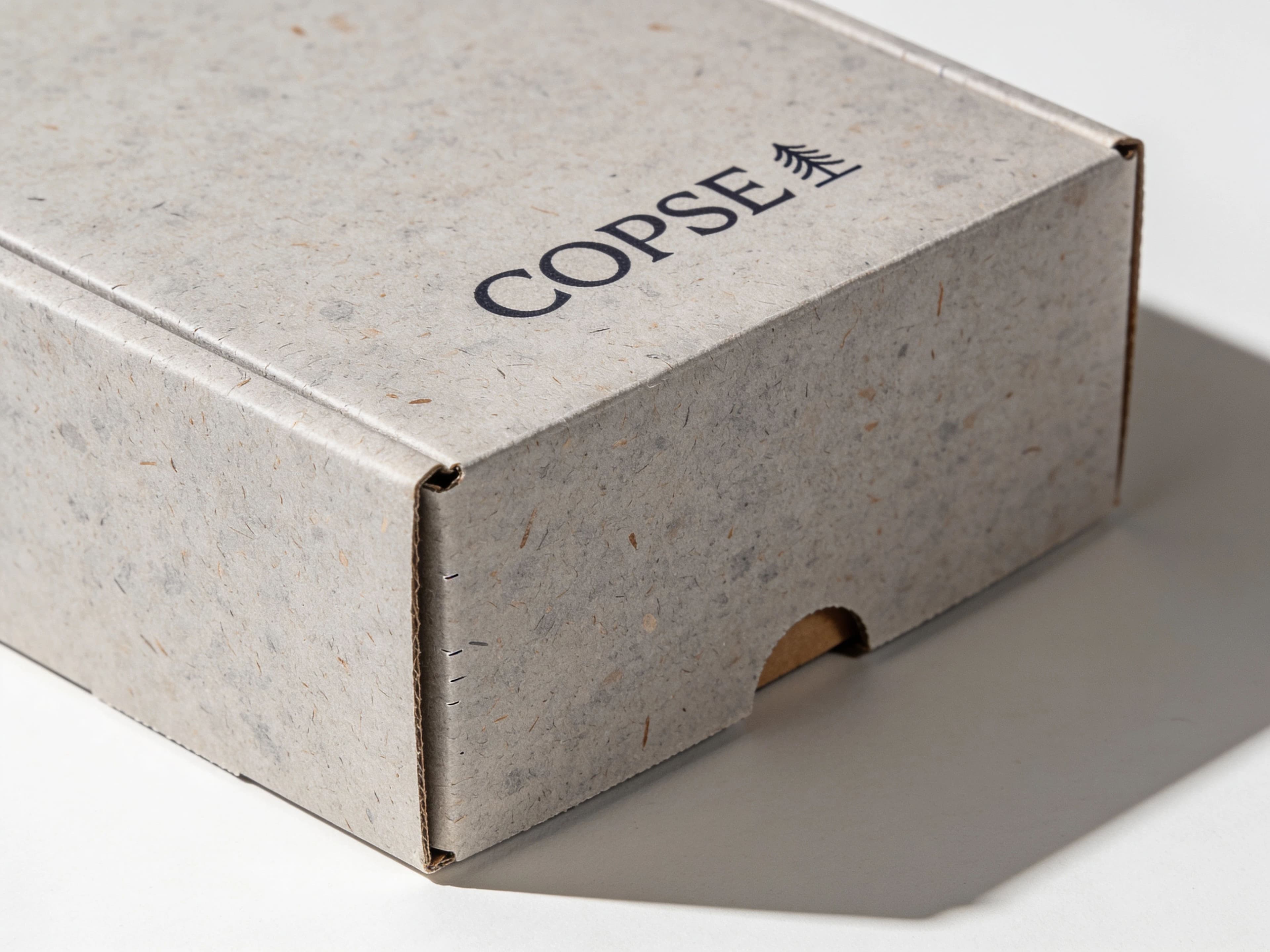 Recycled board carton showing visible fleck and an unbleached surface, generated with Seedream 4.5