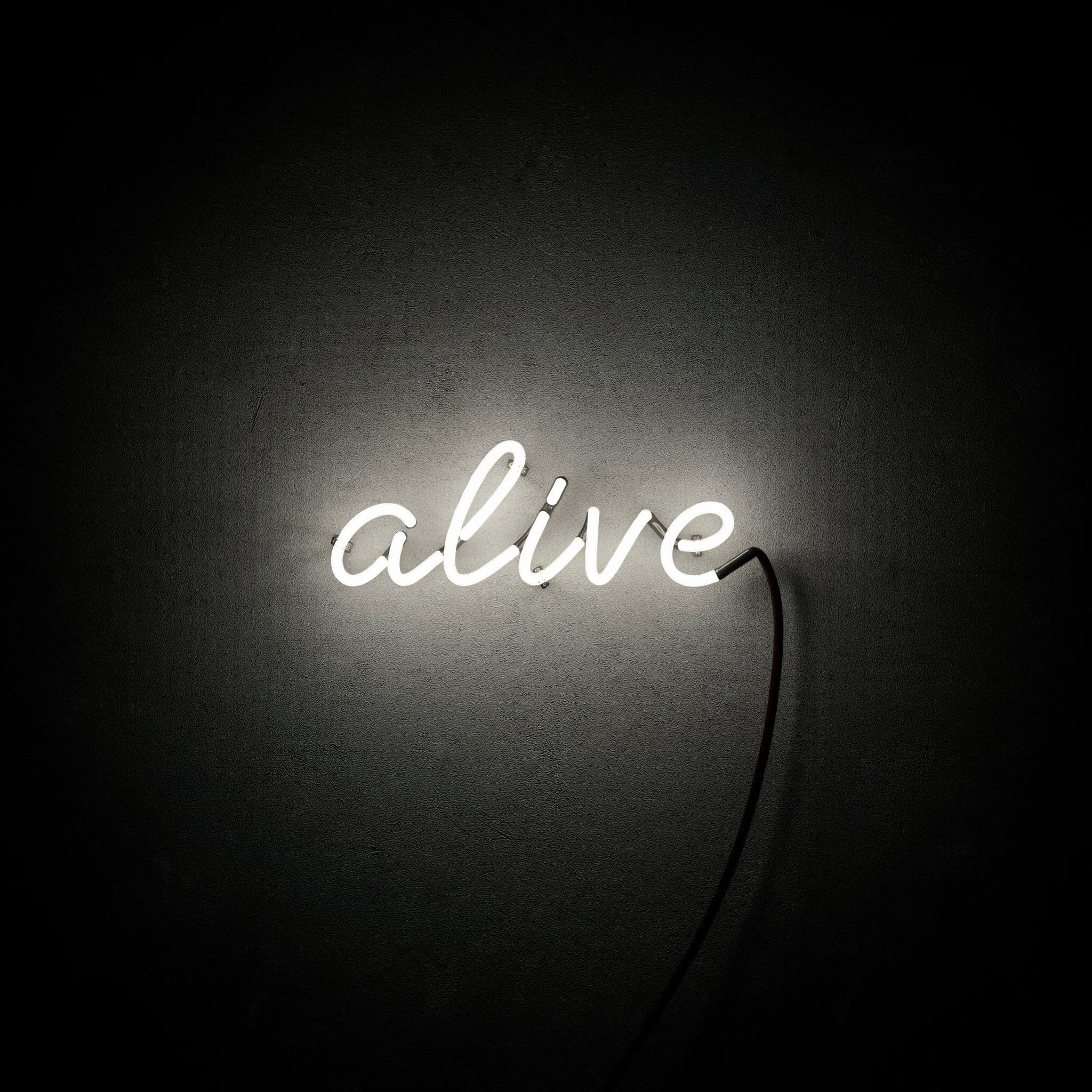 Square photograph of a neon word ALIVE alone on a black wall in an unlit room, generated with Ideogram 4.0
