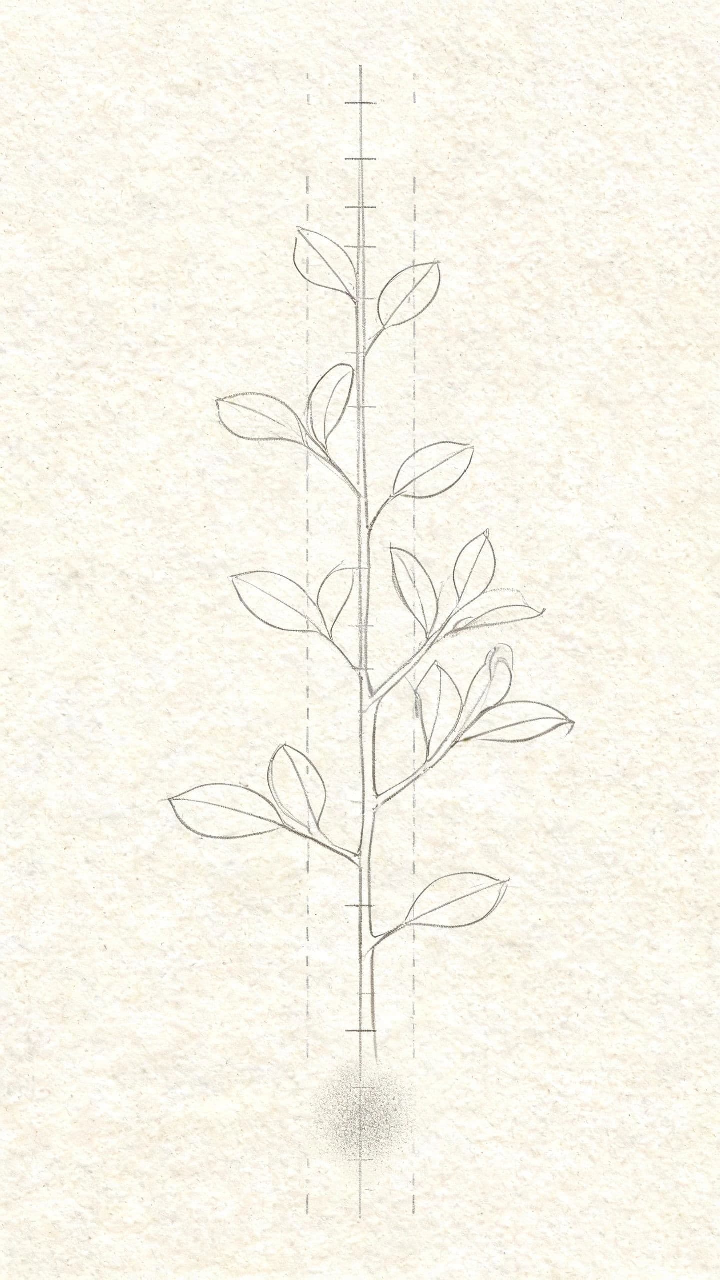 Vertical pencil study of a branching stem with a light axis line drawn through it, generated with Seedream 5.0 Lite