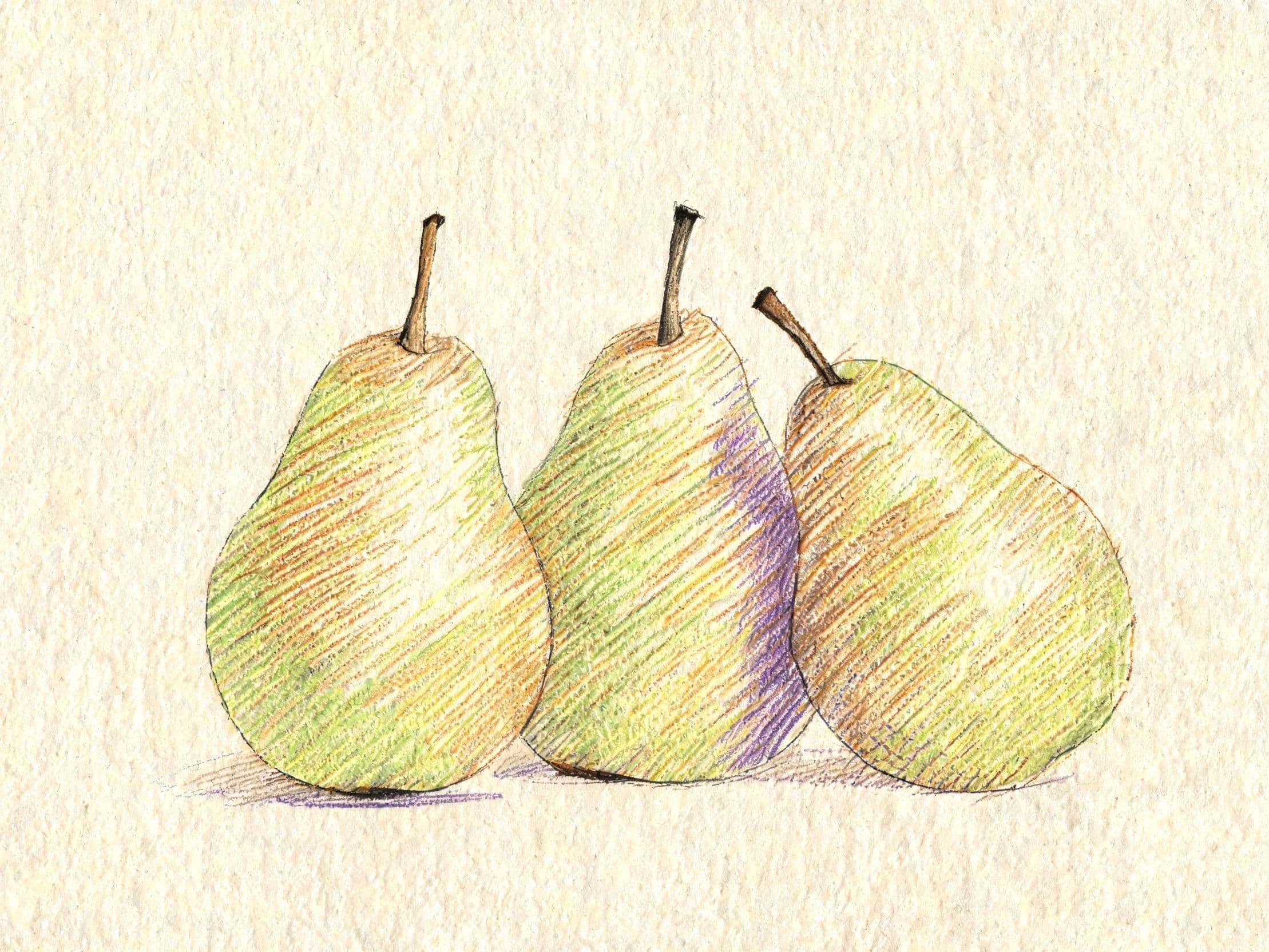 Pencil drawing of three pears in layered coloured pencil with the paper showing through, generated with Seedream 5.0 Lite