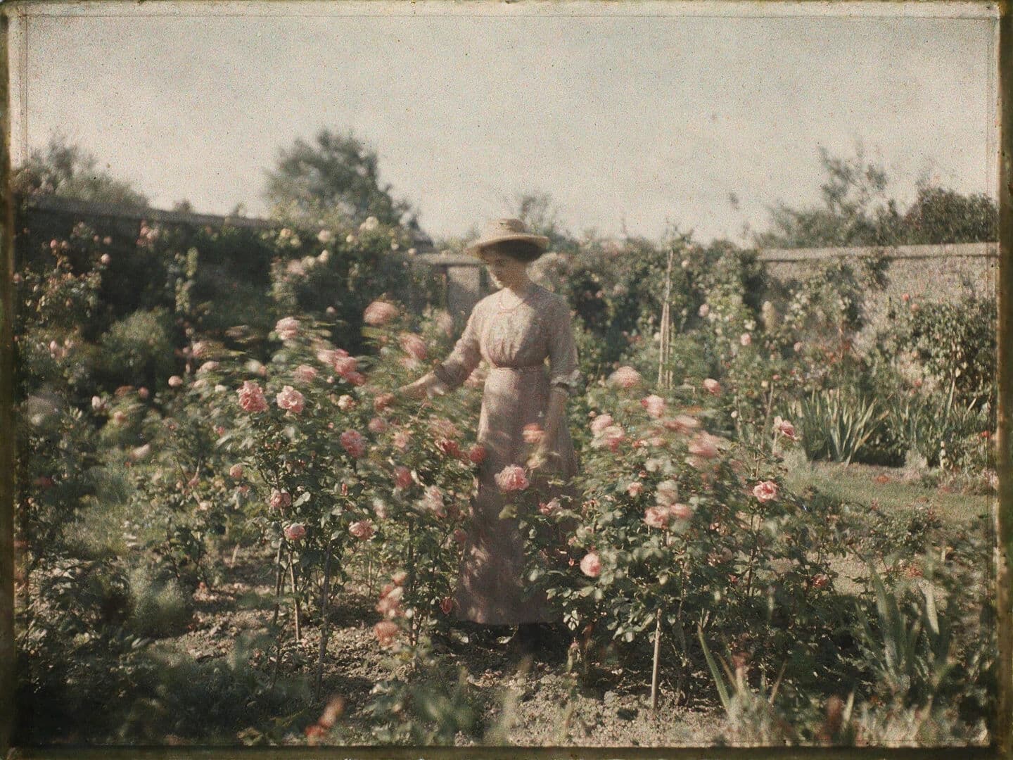 Early colour autochrome photograph of a garden with visible starch grain and muted tones, generated with Seedream 5.0 Pro