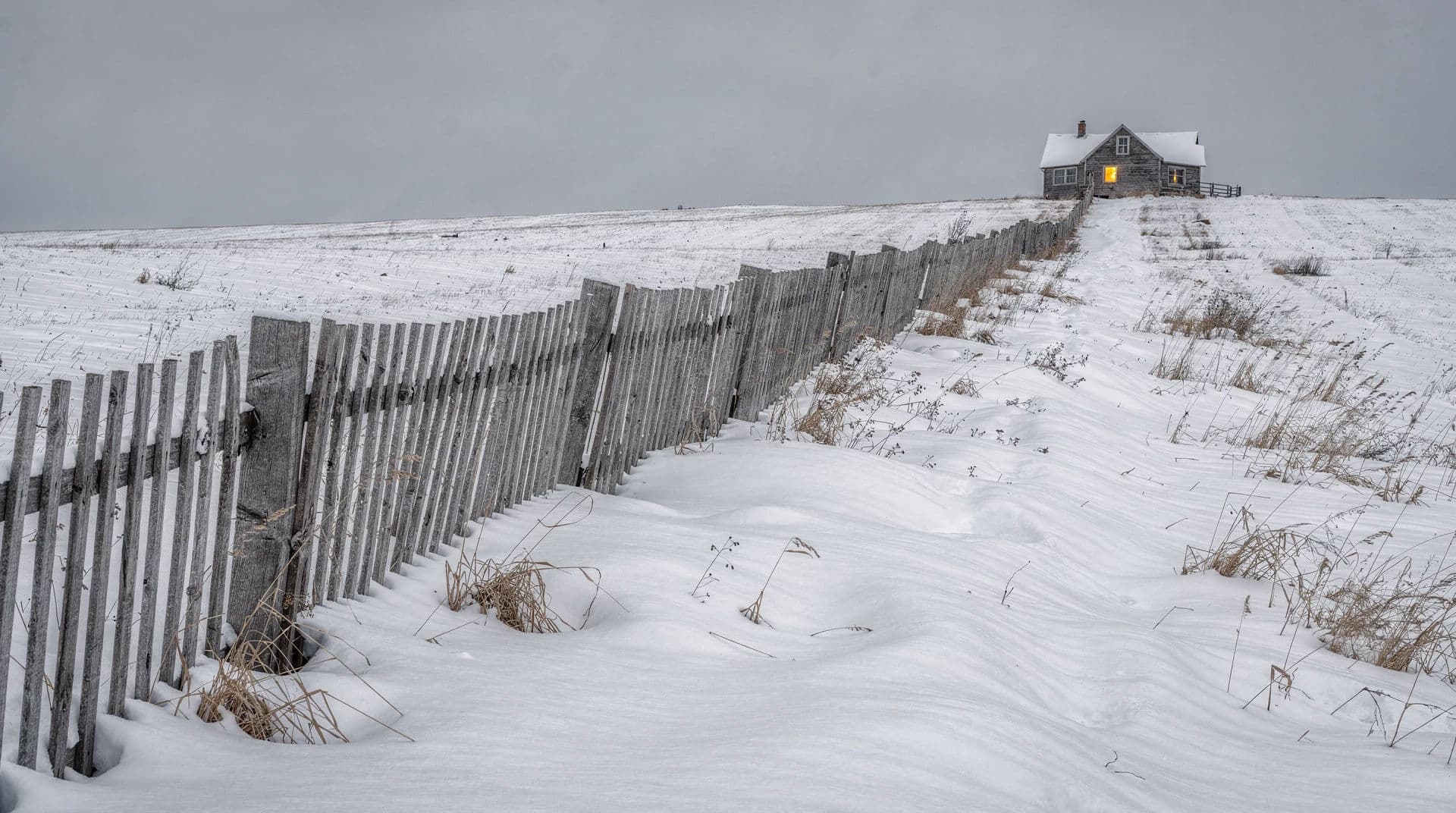 Snow fence receding in a strong diagonal, generated with Flux