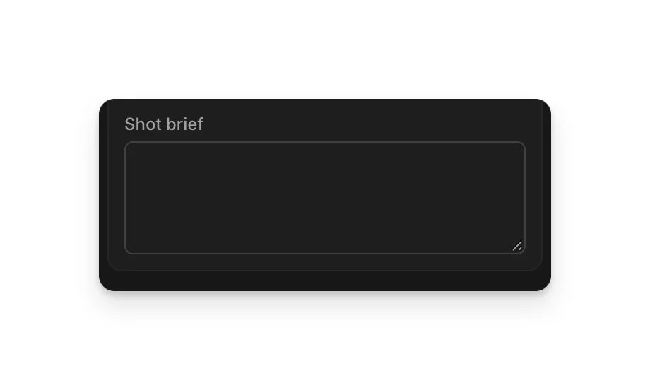 The Shot brief box at the bottom of Shot settings