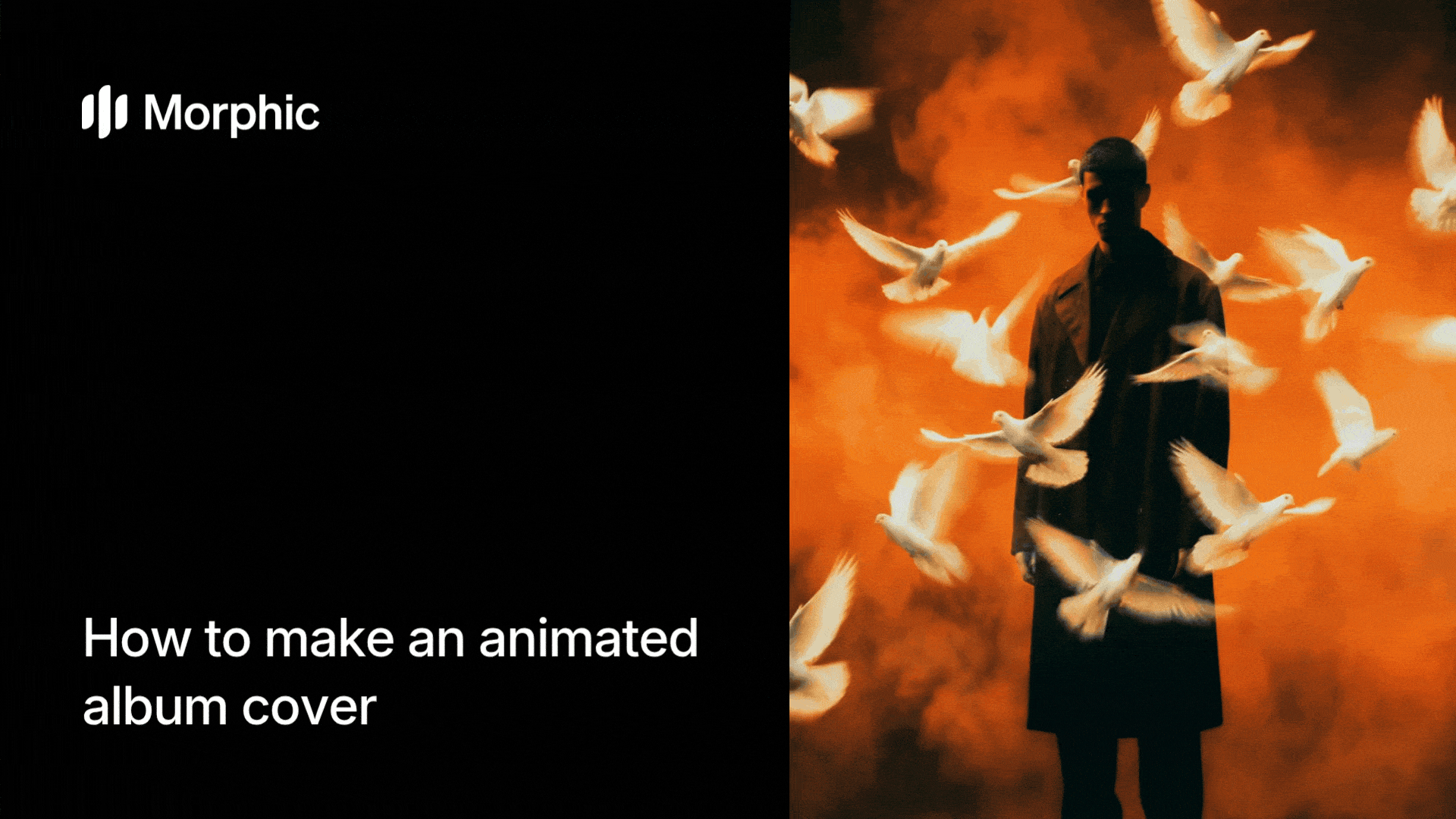 How to make an animated album cover using Morphic AI workflow