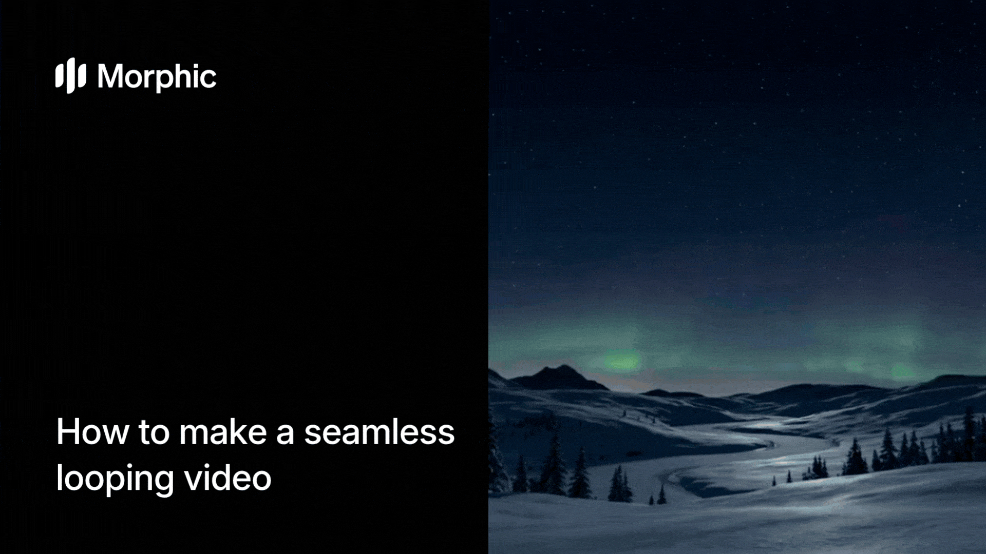 How to make a seamless looping video using Morphic AI workflow