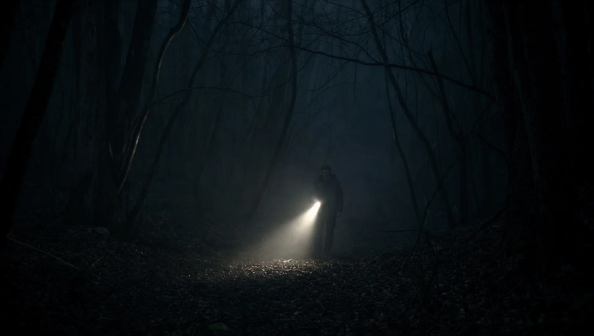 Fog-bound forest at midnight