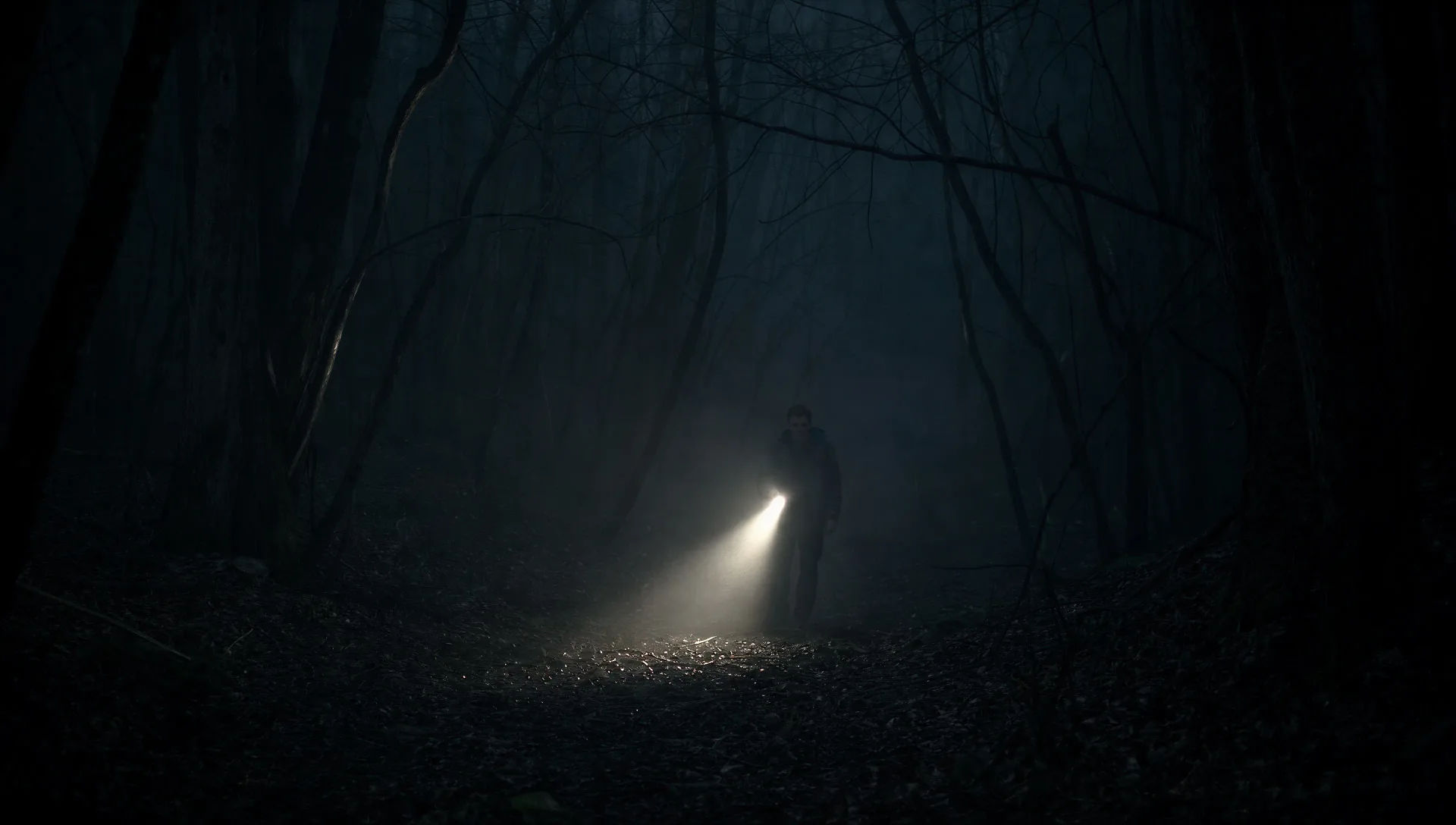 Floresta tomada por neblina à meia-noite
